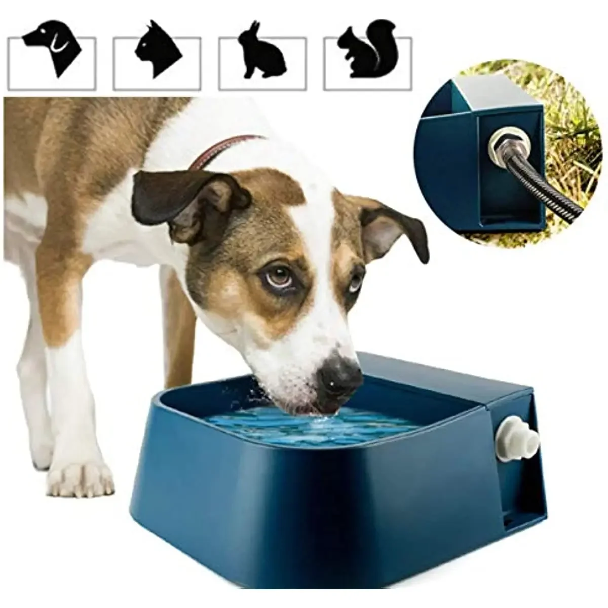 High Capacity Pet Dog Bowl Floating Ball Automatic Water Drinker Pet Storage Bowl Animal Feeder 2L Automatic Water Feeder Bowl