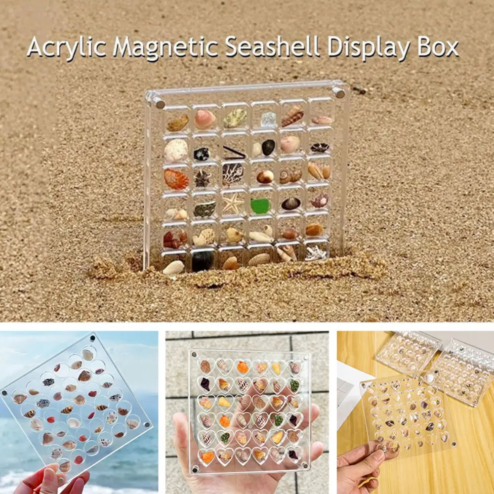 

Acrylic Magnetic Seashell Display Box 36/64Grids Circle & Heart Clear Seashell Storage Box Large-capacity Small