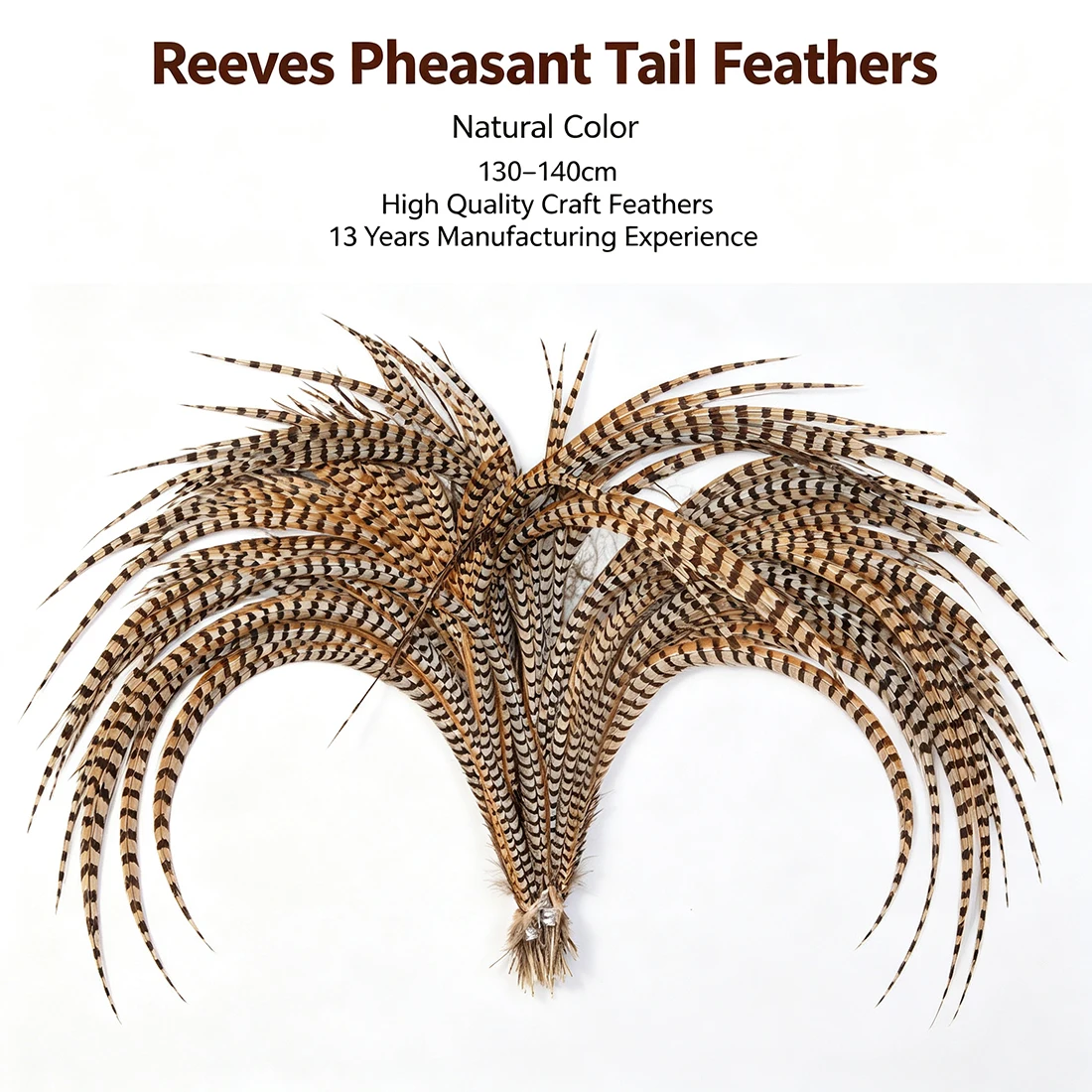 Long Pheasant Feathers Natural Reeves Pheasant Feathers 130-140cm/52-56 Inch for Crafts DIY Art Home Decor