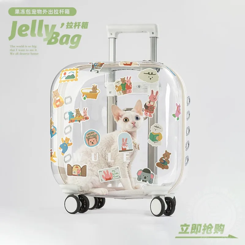 Cat bag out portable space capsule pet backpack medium-sized luggage case general pet supplies.