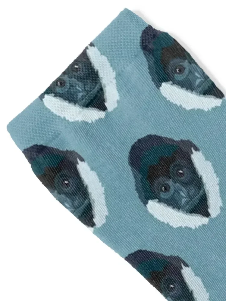 W is for White Cheeked Gibbon Socks hip hop moving stockings luxe gift Designer Man Socks Women's
