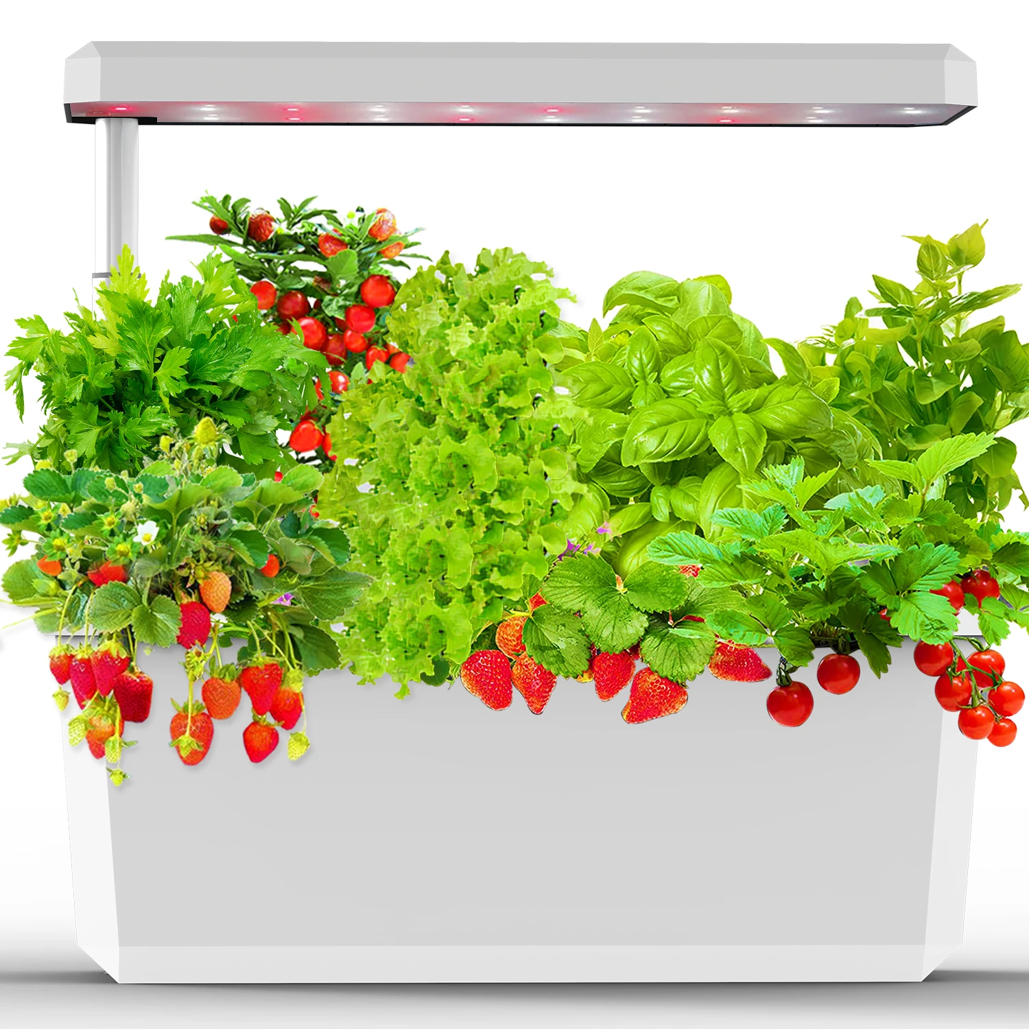 Smart Electronic Indoor Automatic Hydroponic Aeroponics Water Growing System Home Garden with Visual Window