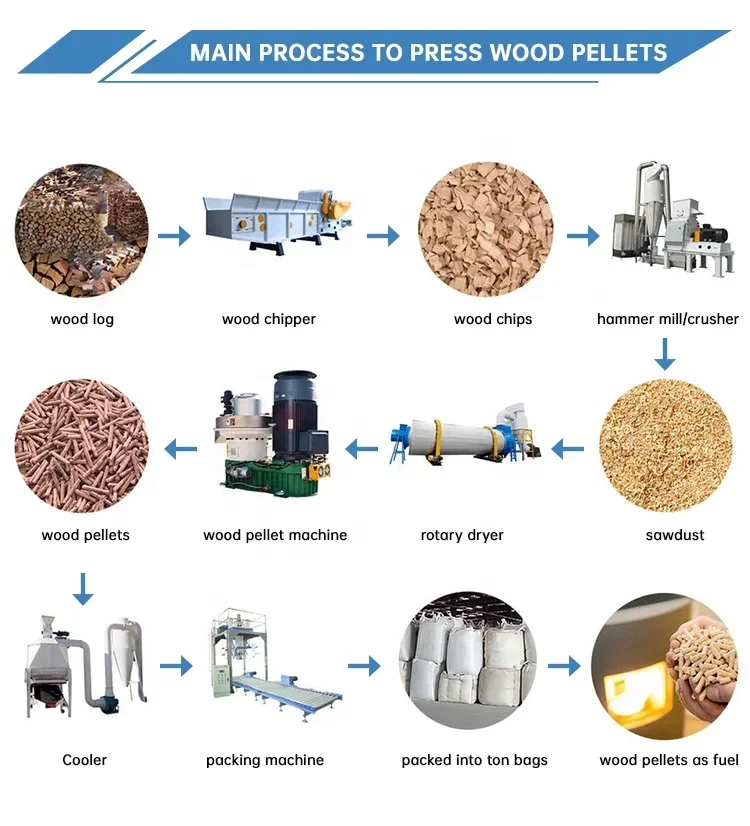 Poultry Feed Pellet Machine in Philippines Chicken Farm Goat Feeds Pelletizer Animal Making for Broiler Steam Conditioner