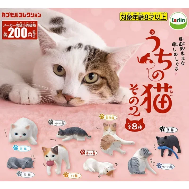 

TARLIN Kawaii Cute Gashapon Figure Anime Our Home Orange Cat Miniature Items Figurine Capsule Toy