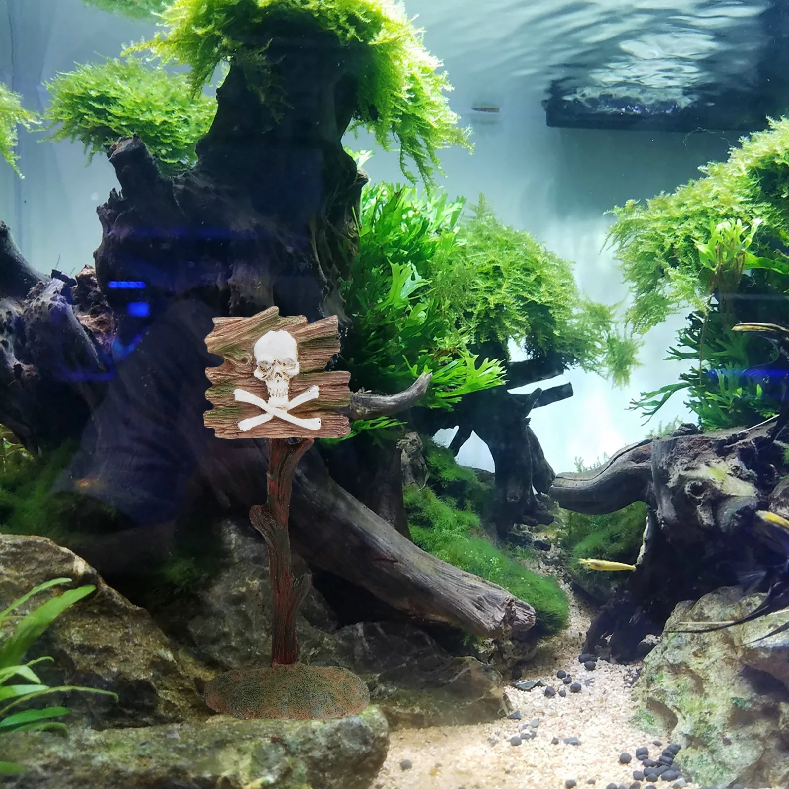 

Resin Aquarium Ornament Skull Pattern Fish Tank Decor Ecofriendly Material Vivid Craftsmanship Durable Aquarium Habitat