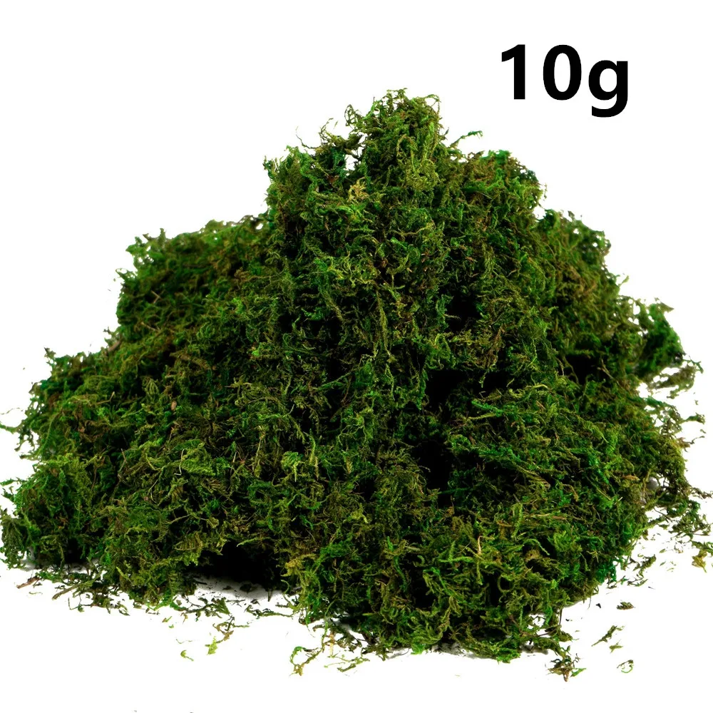 10g Artificial Moss Stained moss Fake Green Moss Grass for Centerpieces DIY Home Kitchen Garden Decor