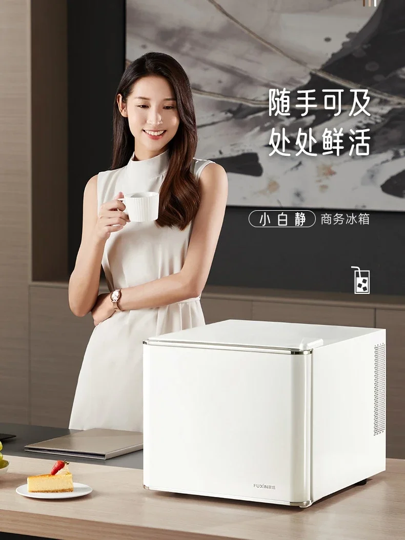 

Fuxin Hotel Guest Room Mini Refrigerator Mute Home Office Apartment Dormitory Inn Medicine Preservation Refrigerated Cabinet