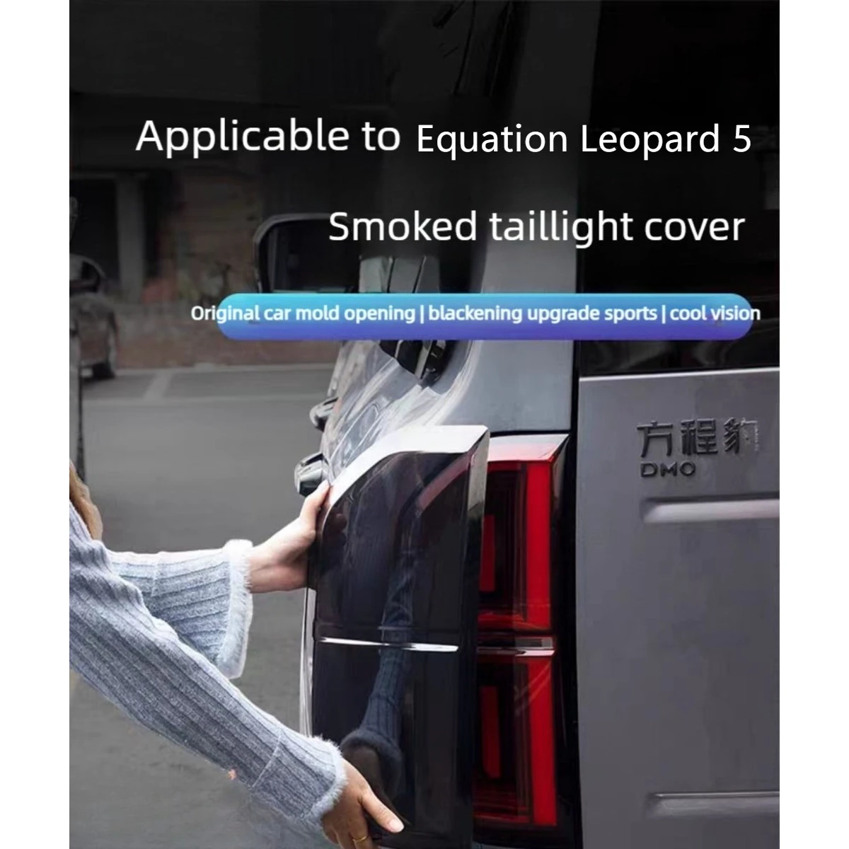 Suitable smoked black taillight cover protective shell rear taillight protective cover car modification for Equation Leopard 5