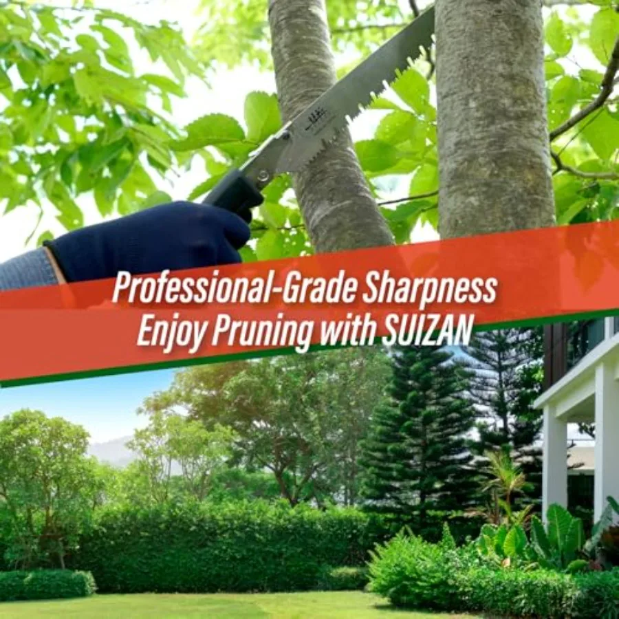 Pruning Saw 10.6