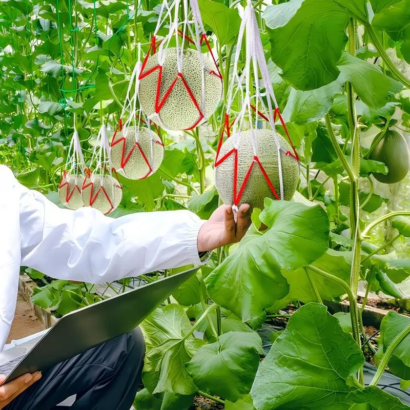 50pcs Heavy-Duty Fruits Net Bags Large Capacity Shopping Bags For Support The Growth Of Watermelons, Pumpkins, Cantaloupes