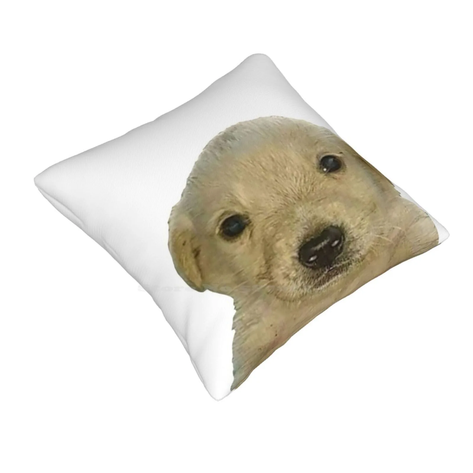 Jotchua Meme Jotchua Dog Pillowslip Pillowcase Jotchua Meme Jotchua Dog Golden Retriever Meme Floppa Bingus Obscure Meme Dog