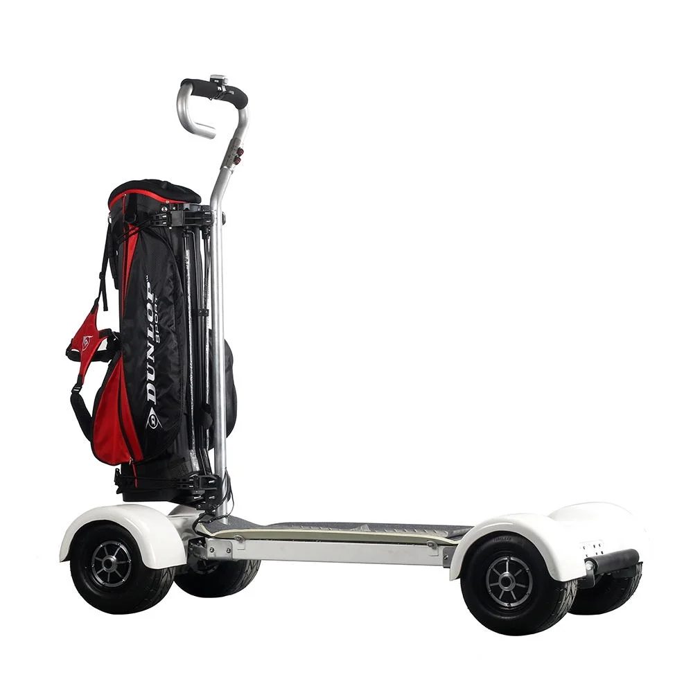 

Passenger Electric Golf Cart