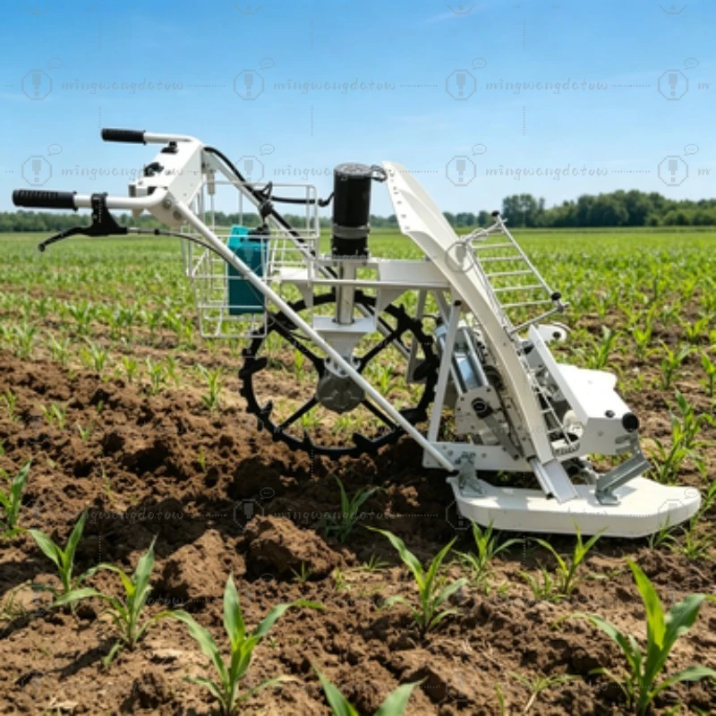 2 Rows Hand Push Rice Transplanter Manual Paddy Planting Machine Agricultural Farm Rice Seedling Transplanter