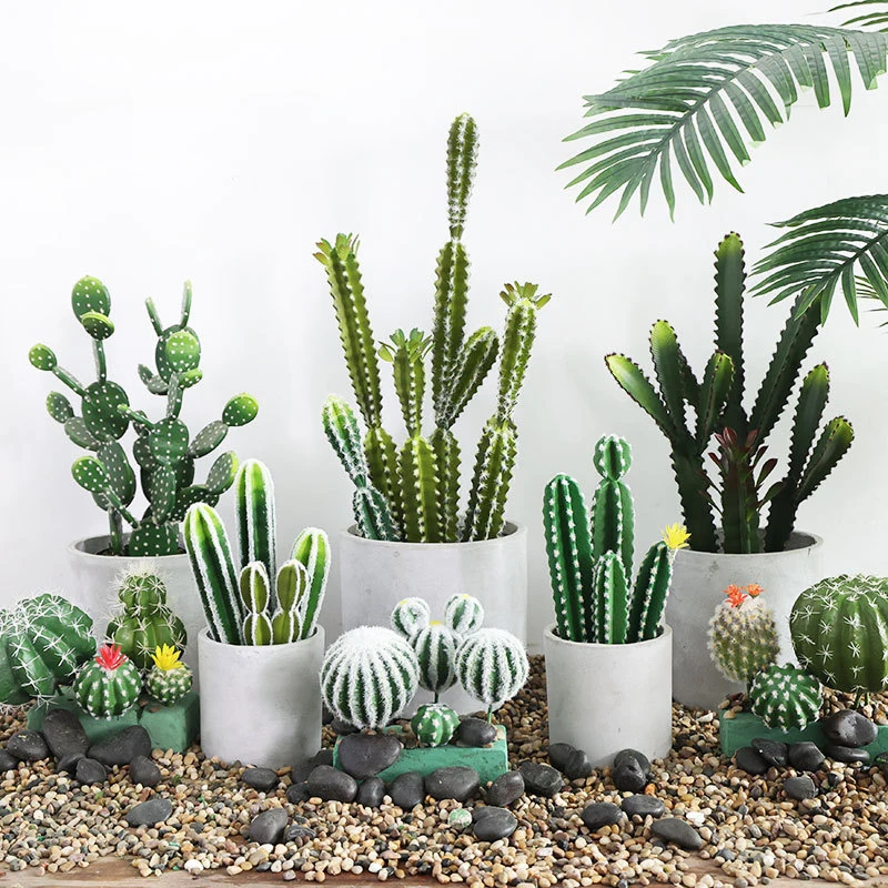 Artificial Plant Mini Cactus Flocking, Meaty and Realistic Texture Home Decoration for Meeting Room Desktop Decoration