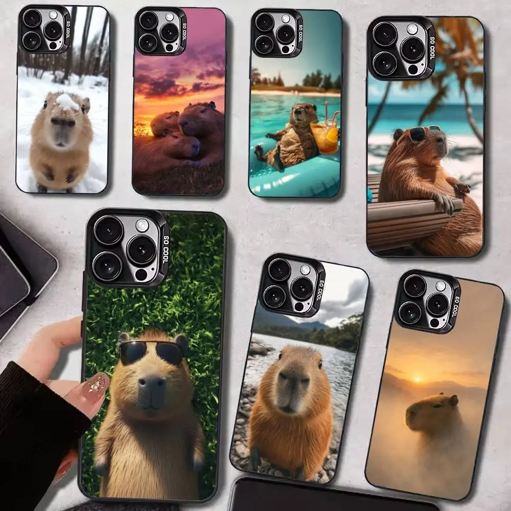 

C-Capybara Colorful Silver Back Phone Case For IPhone 17 16 15 14 13 12 11 Plus Pro Max Plus