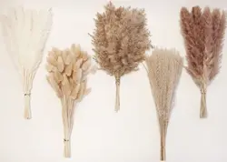 110Pieces Pampas Grass with White Rabbit Tail Dried Flowers Artificial Flowers for Bathroom Decorations,Office,Baby Shower Decor