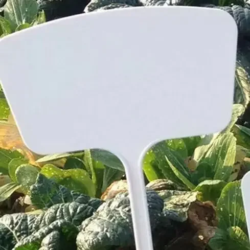 10Pcs T-Type Plastic Plant Labels Reusable Nursery Garden Flower Tag Markers White For Garden Flower Identification