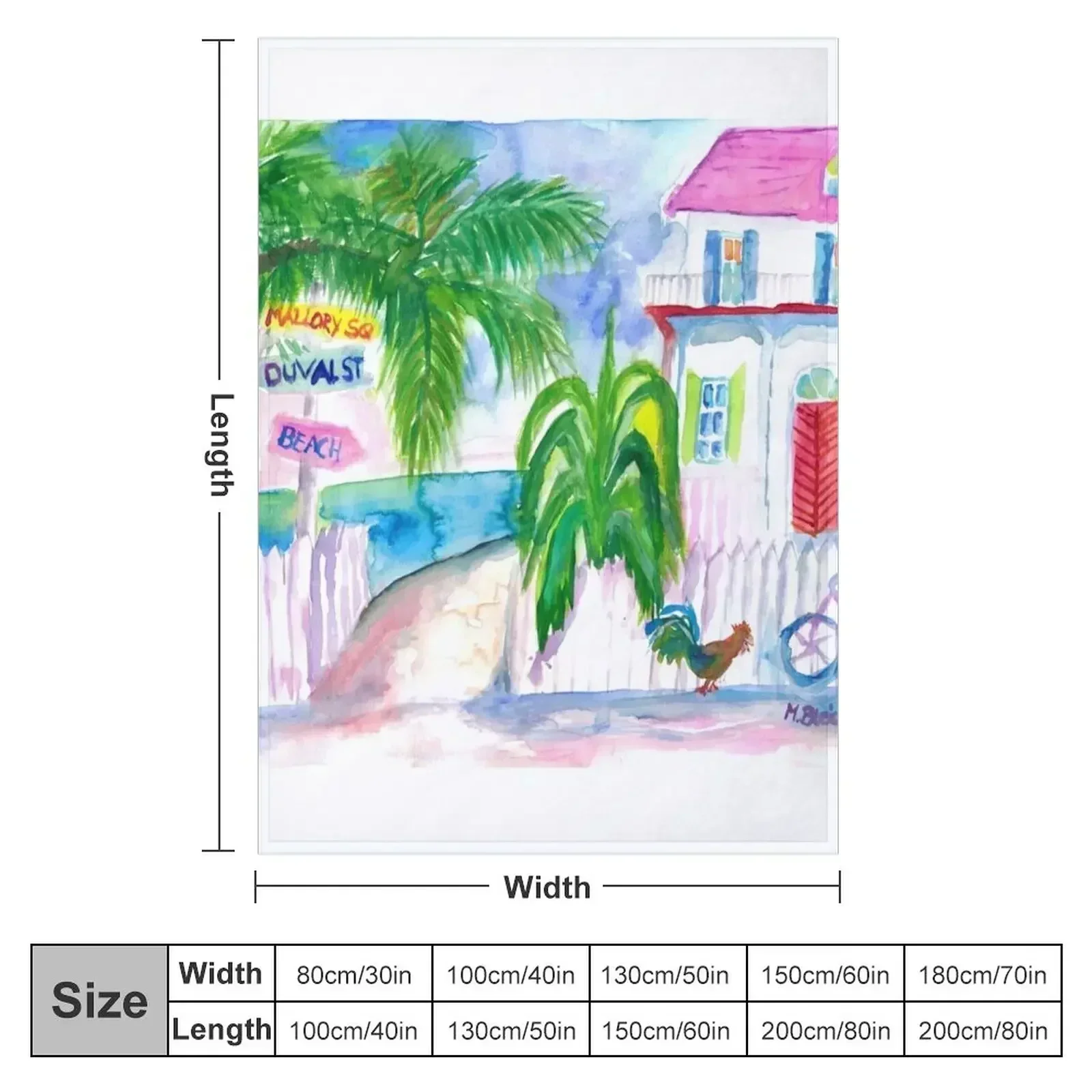 Key West Pink House and Signpost with Bike Throw Blanket Stuffeds Moving Hair blankets and throws Blankets