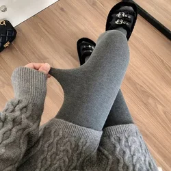Winter Simple Atmospheric Grey Cotton Pantyhose Fashion Versatile Hottie Lolita Tights Slim Leggings Hosiery