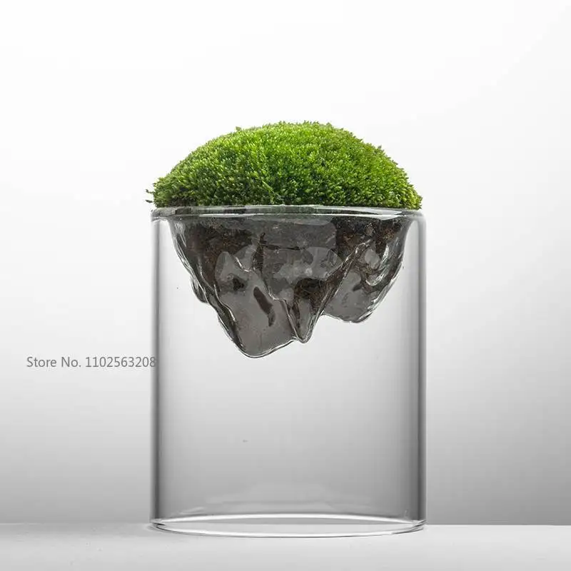 Creative Mountain Shaped Moss Glass Bottle Moss Vase Hydroponic Fleshy Micro Landscape Glass Terrarium Bonsai Home Decor