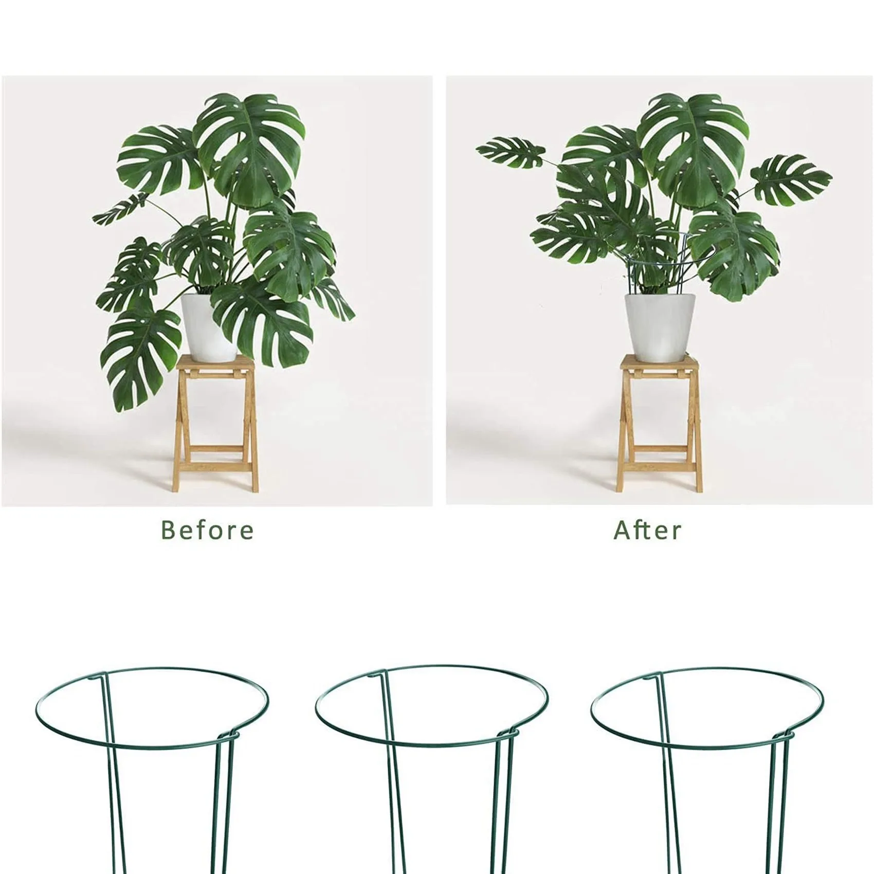

AB35-16 Pcs Plant Support Stakes Ring Cage Metal Garden Plant Stake Green Half Round Plant Support Ring Large Plant Supports