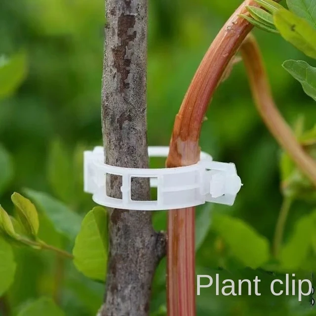 Wholesale Plant Support Clips Reusable Plastic Plant Vine Protection Grafting Fixing Tools for Vegetable Tomato Garden Supplies 4