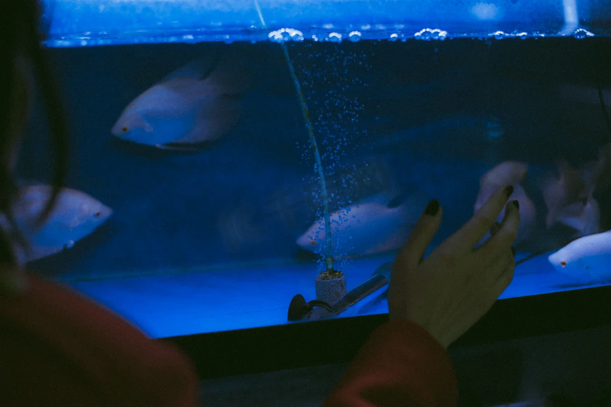 

Комплект из 4 металлических дисков-бидлоков 118 мм (1,9 дюйма) с резиновыми шинами для радиоуправляемых краулеров 1/10: Trxs TRX4, RC4WD, D90, D110, Axial SCX10, MST