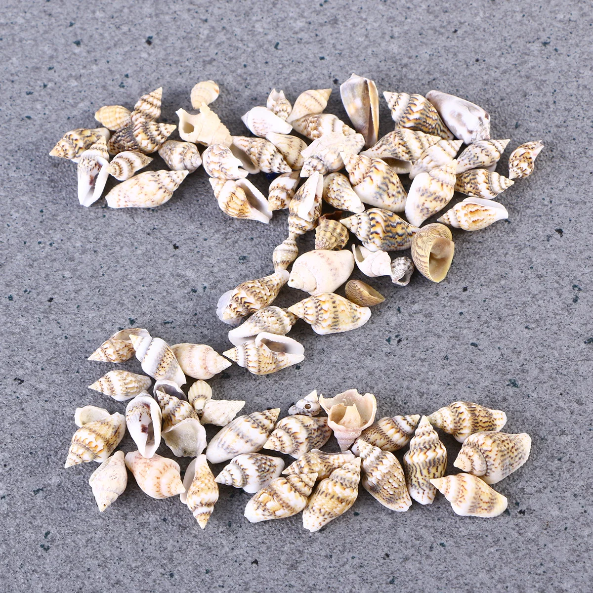 

50pcs Small Conch Shell Decor Natural Seashells Vivid Dark Teal For Home Aquarium Craft Projects Diy Decoration Art Crafts