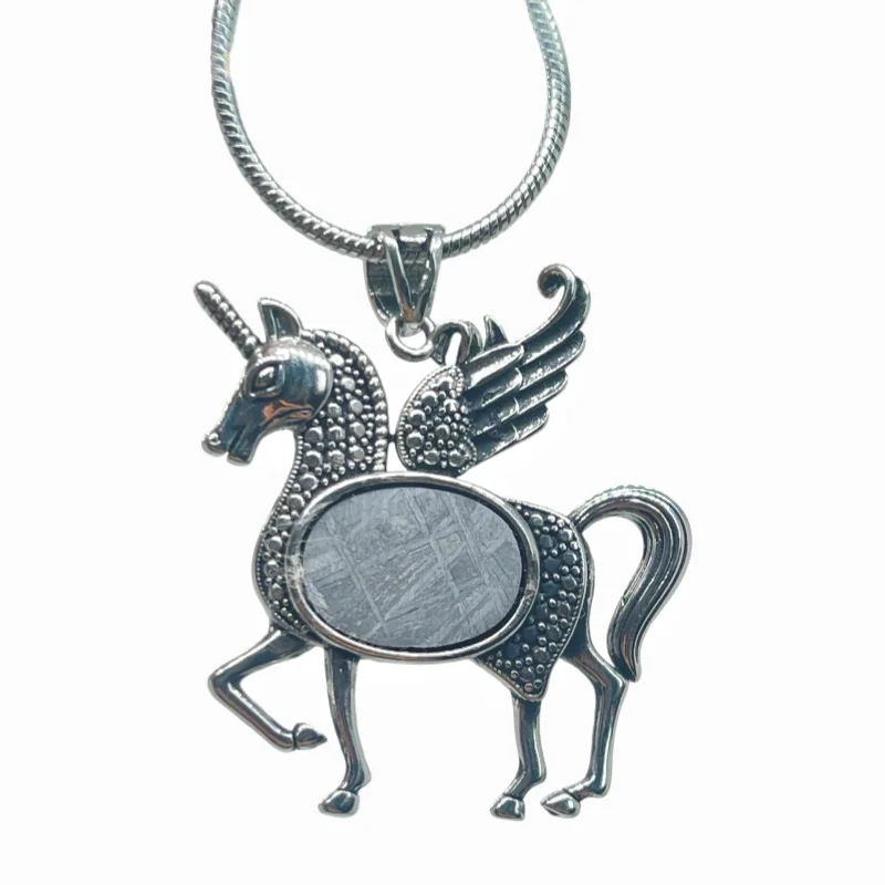 Authentic Gibeon Iron Meteorite Necklace  Mythical Winged Horse Design  Stainless Steel Frame LK392
