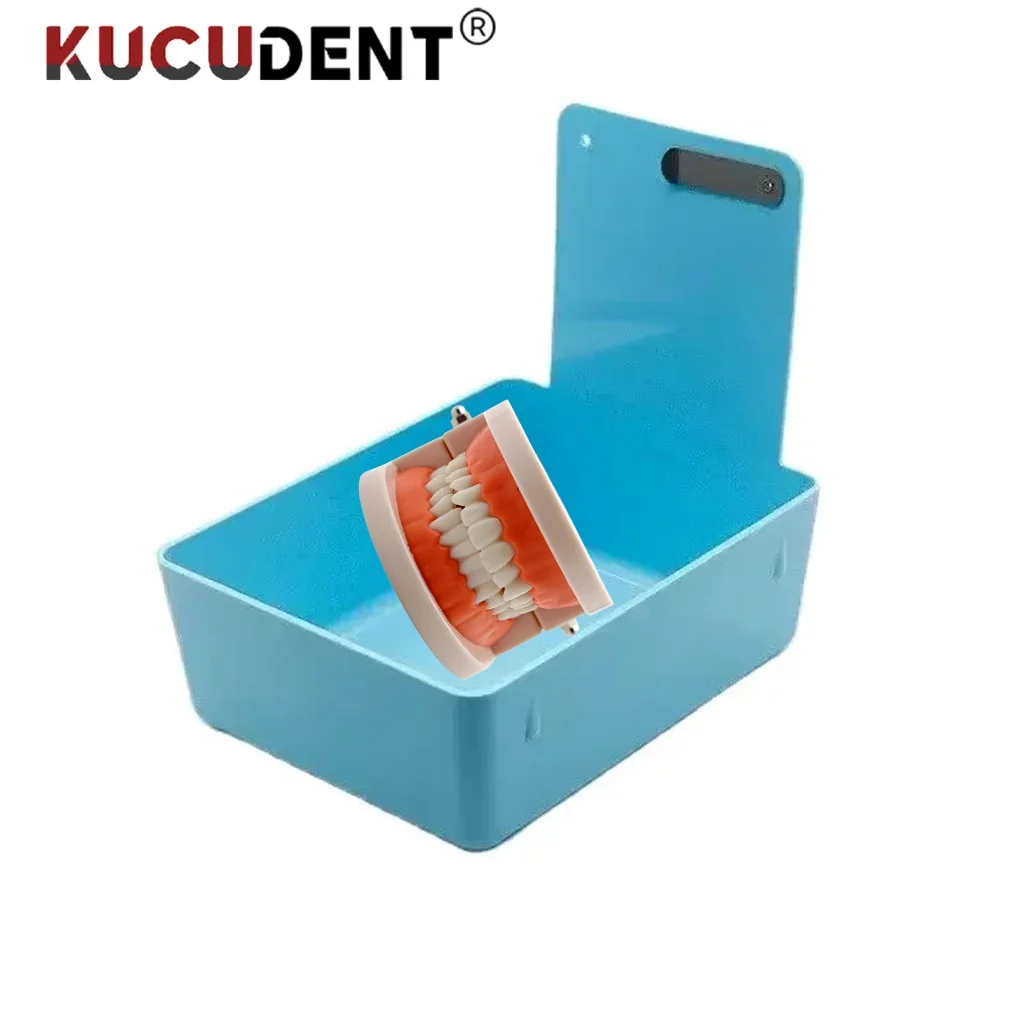 1Pc Dental Teeth Model Storage Box Turnover Finishing Box with Clip Work Pans Durable Case Holder Organizer Model Placements