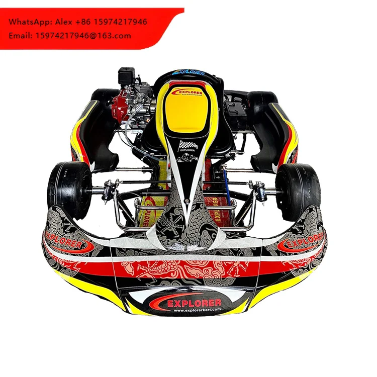 Professional Gas Outdoor Go Karting Adult TS5 Rental Kart With GX200CC/270CC Engine For Competition Use