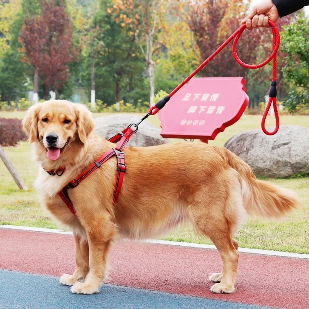 

Durable Night Reflective Dog Leash Explosion Proof Polyester Pet Climbing Rope Anti Pull Dog Rope Walking