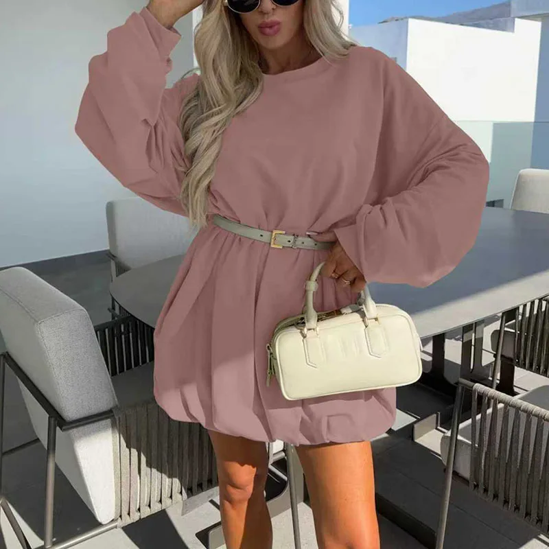 Autumn Winter Long Sleeve Sweatshirt Dress Woman Casual Round Neck Simple Pullovers Dress Fashion Solid A-Line Office Lady Dress