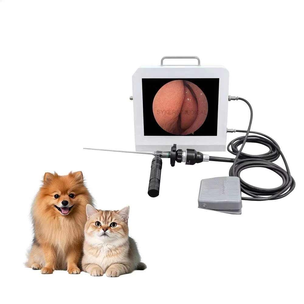 SKS-VS20 compact all-in-one veterinary endoscope with 10-inch display for portable animal medical examination and diagnostics