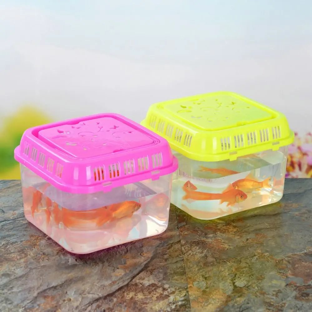 

Plastic Portable Fish Tank Transparent Handheld Reptile Feeding Box Random Color with Handle Hamster Carrier Cage Aquarium