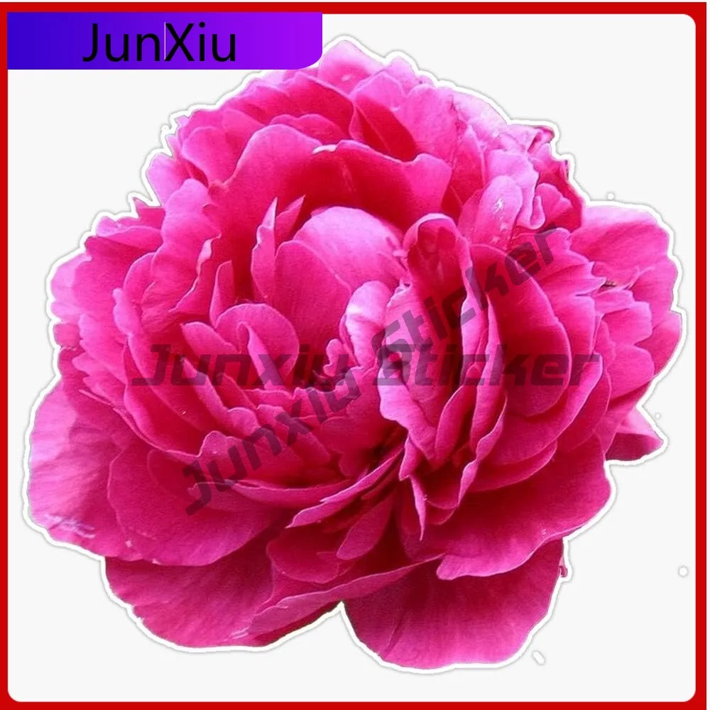 

Pink Peony Vinyl Stickers Waterproof Decal Bumper Suv Bodywork Motocross Truck Camper Decals Stickers For Car Sticker Cover Scra
