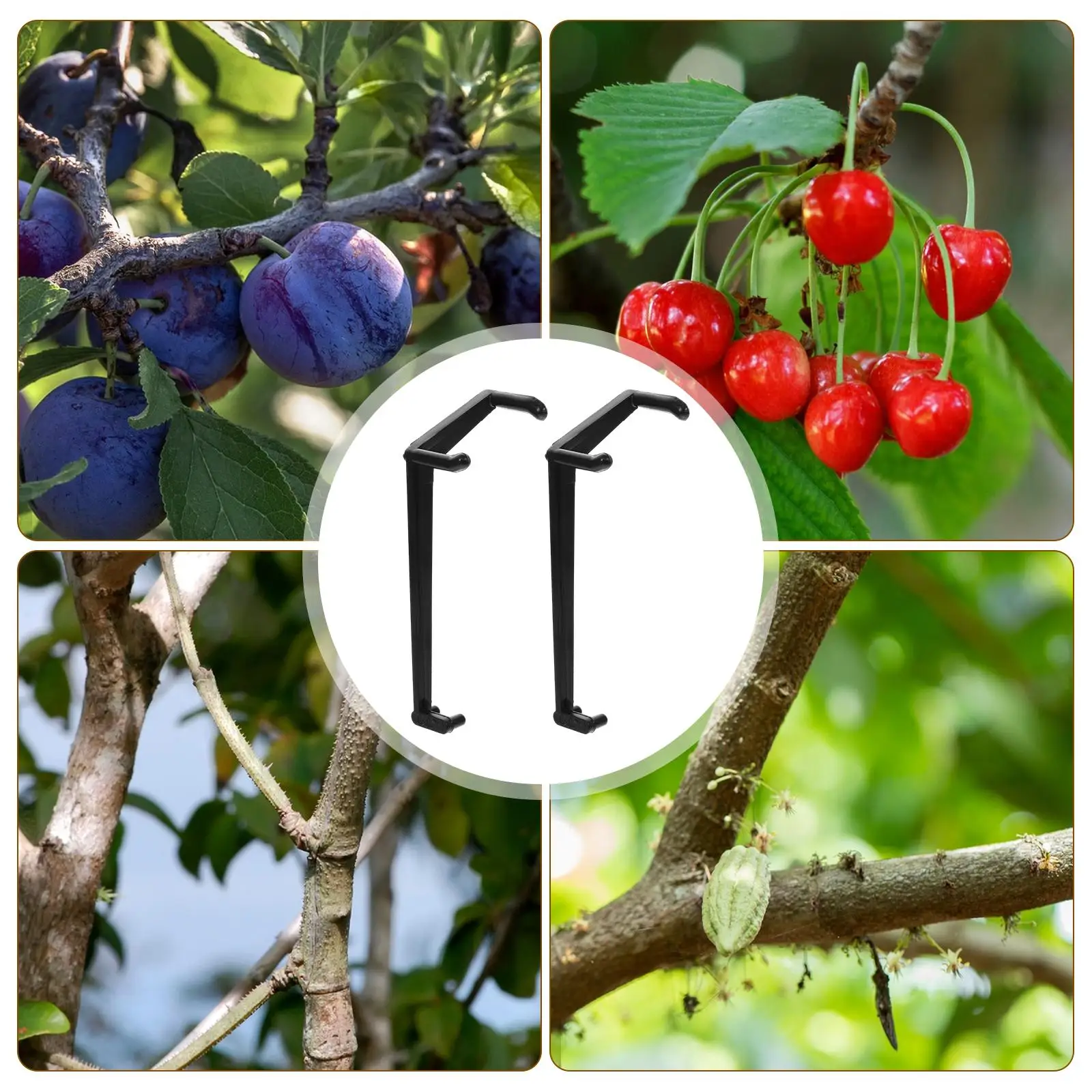 50 Pcs Bending Machine Clip Plastic Adjustable Tree Branch Spreaders for Fruit Trees