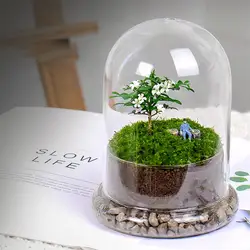 Landscape Eco-Bottle Moss Bottle Micro Landscape Vase Micro Landscape Bottle Empty Moss Bottle Ecological Bottle