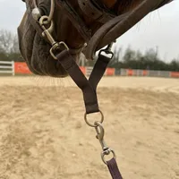 Heavy-Duty Double-Headed Horse Mouth Hook for Lead Ropes, Reliable Equestrian Training Connection Accessory