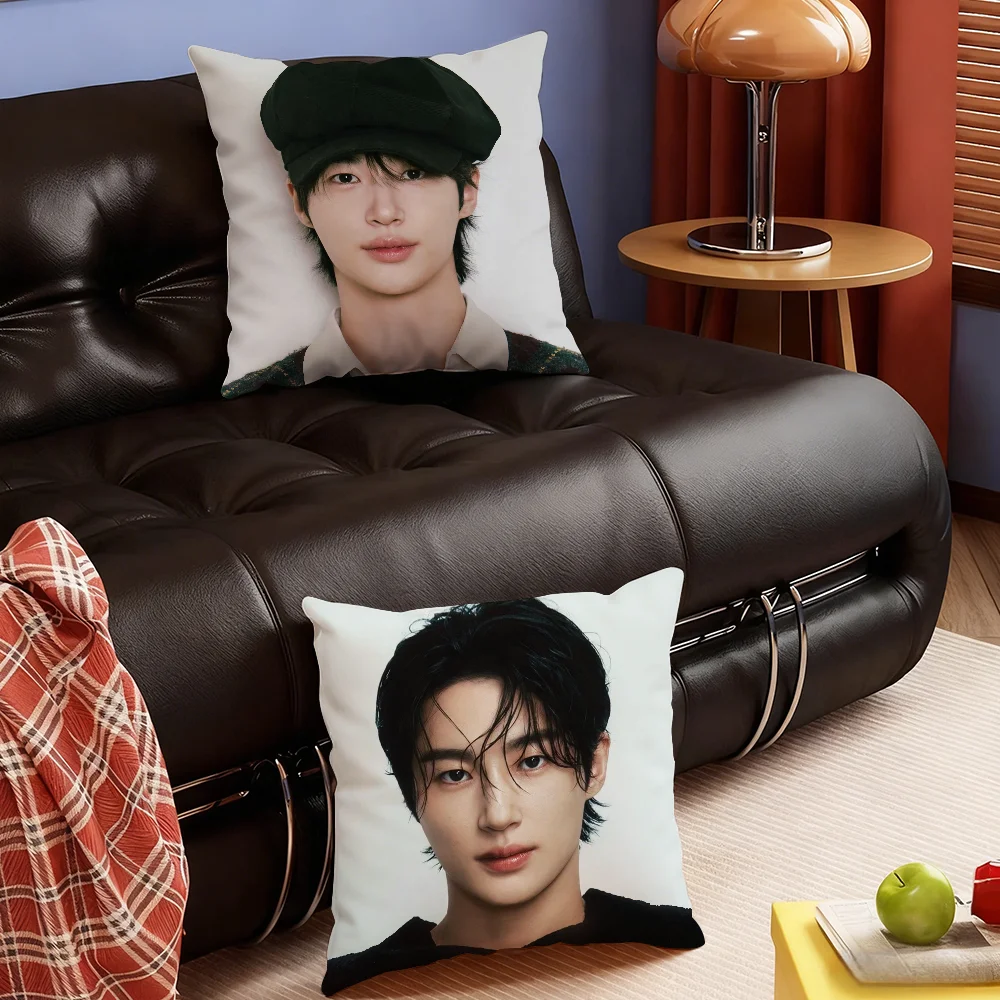 Popular Actors B-Byeon Woo Seok Pillow Case Bedroom Sofa Living Room Backrest Decoration Square Cushion Nap Time