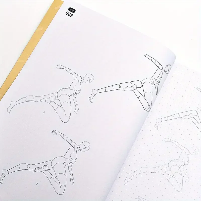 Game Anime Human Body Structure and Dynamic Example Training Manual Dynamic Synthesis