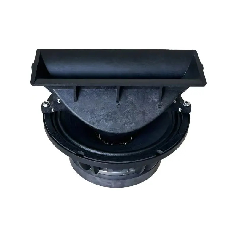 W10-11C 10 Inch Coaxial Speaker Driver With 261mm Overall Diameter 50mm Voice Coil 300W Max Power For Car