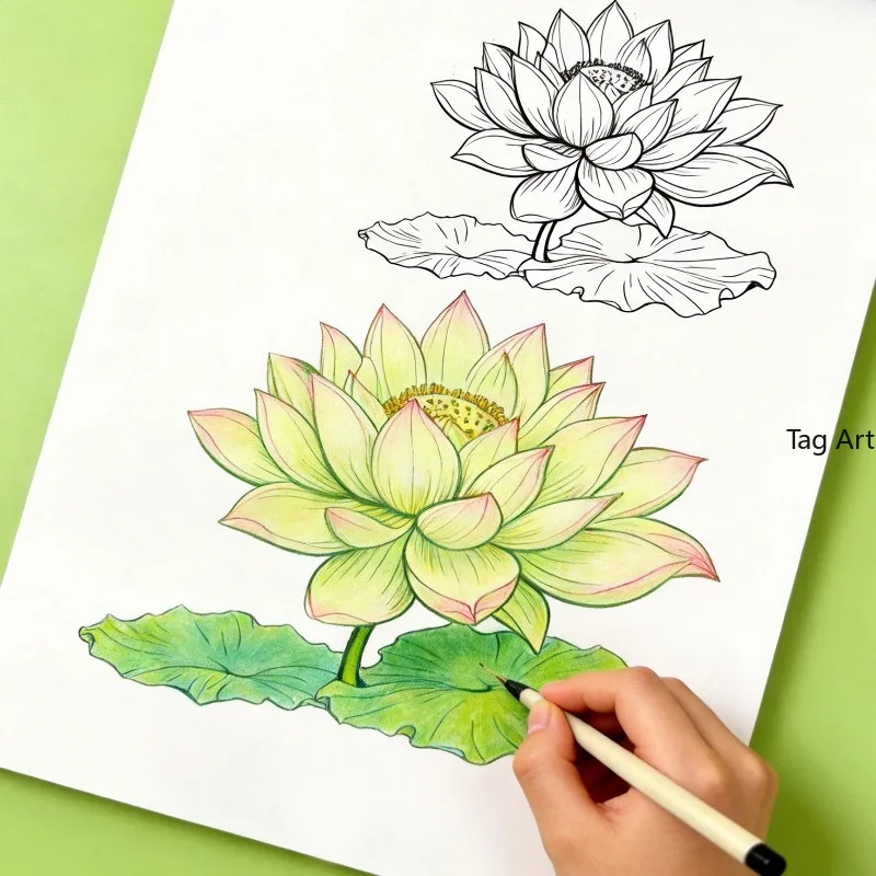 An Adult Stress Relieving Plant Hand Drawn Graffiti Book Beginner's Colorful Lead Flower Line Drawing Exercise Book, 24 Patterns