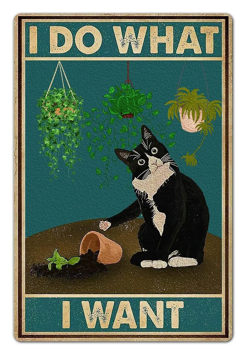 Bestylez Cute Cat Pictures Cat Poster Catio Accessories Cat Room Decor Gifts For Cat Lovers - I Do What I Want Sign, 8 x 12 Inch