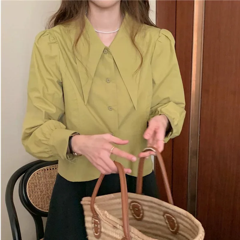 

Long Sleeve Shirts Womens Lace Embroidered Relaxed Fit Party Feminine Minimalist Comfortable Romantic Daily Vacation Office Wear