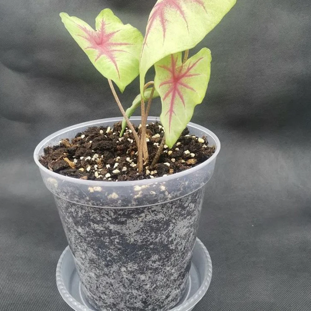 

40Pcs Clear Orchid Plant Nursery Pots 3 Inch Round Plastic Flower Containers Drainage Holes for Indoor Outdoor Garden