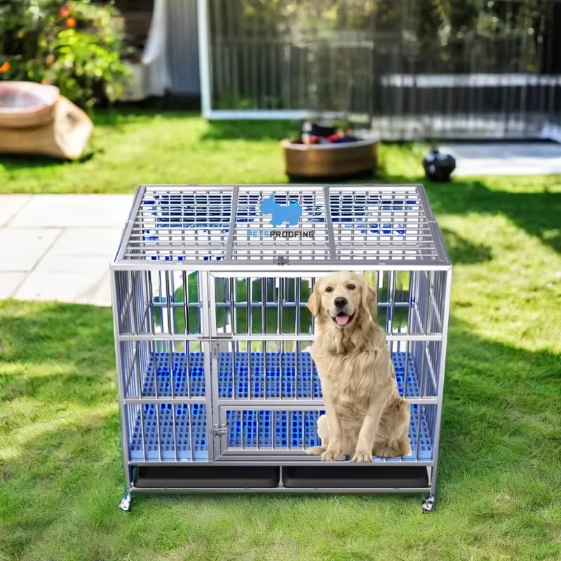 

Commercial Solid Stainless Steel Luxury Kennel for Dogs and Puppies Professional Vet Indoor Pet Proof with Plastic Tray Pallet