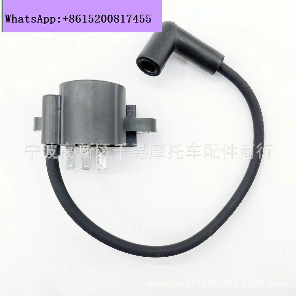 

Катушка зажигания, корпус высокого напряжения CH740 CV740 SV735 SV740 GT1554