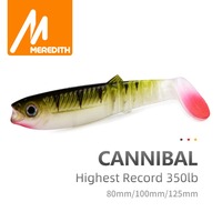 5PCS 10.5g 10cm Fishing Lure Artificial Bait 3D Eyes Bleak Paddle Tail Fishing Soft Lures T Tail Cannibal Artificial Soft Lures