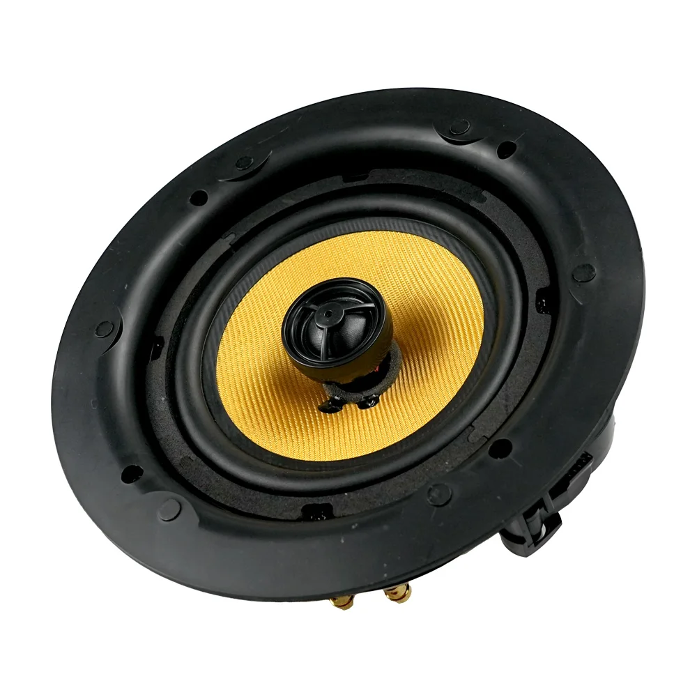Fornecedor de fábrica alto-falante de teto interno de 6,5 polegadas 80 watts amplificador de potência AC DC funciona com teto montado em música de fundo
